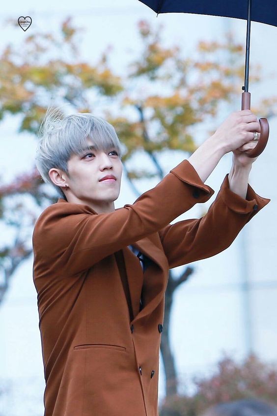 SEVENTEEN (세븐틴)/S.COUPS（エスクプス）画像5 : ぴよぴよにっき