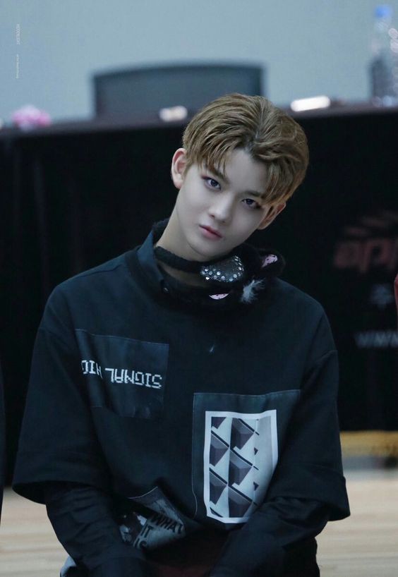 ペジニョン ４点セット ワナワン wanna one 送料無料☆ワナワン WANNAONE ワナワン ペ・ジニョン 60cm×90cm