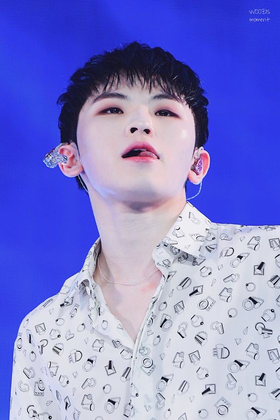 SEVENTEEN (세븐틴)/WOOZI(ウジ) 画像14 : ぴよぴよにっき