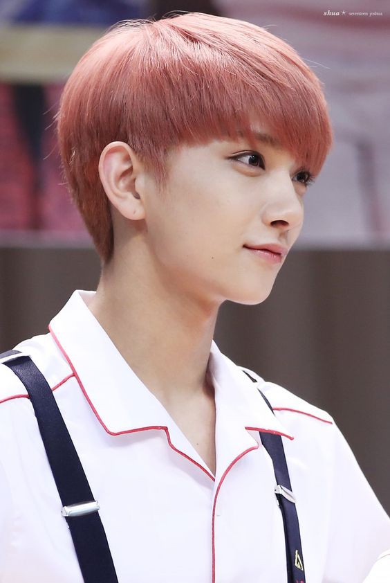 SEVENTEEN (세븐틴)/JOSHUA(ジョシュア) 画像2 : ぴよぴよにっき