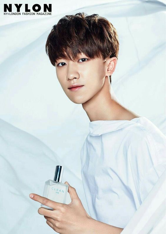 SEVENTEEN (세븐틴)/THE8(ディエイト) profile : ぴよぴよにっき