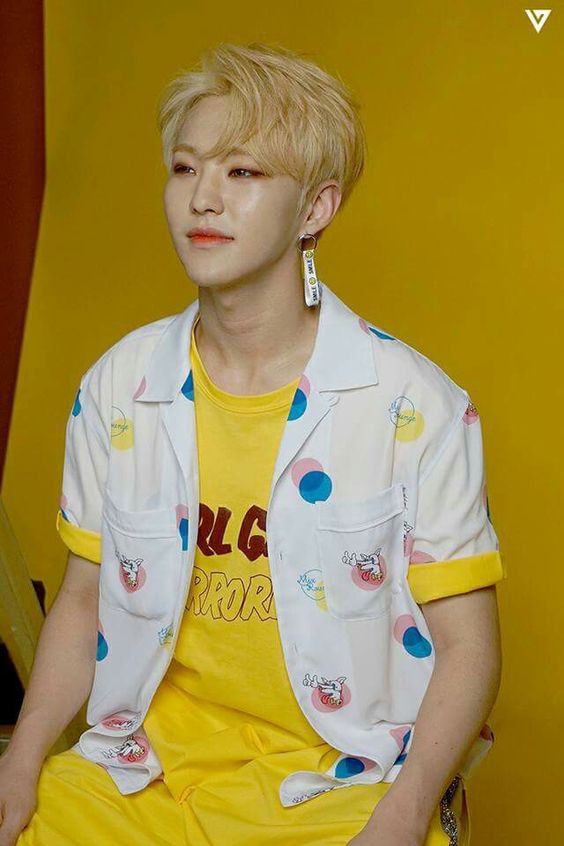 SEVENTEEN ホシ ④ SEVENTEEN (세븐틴) ホシ/HOSHI 画像4 : ぴよぴよにっき