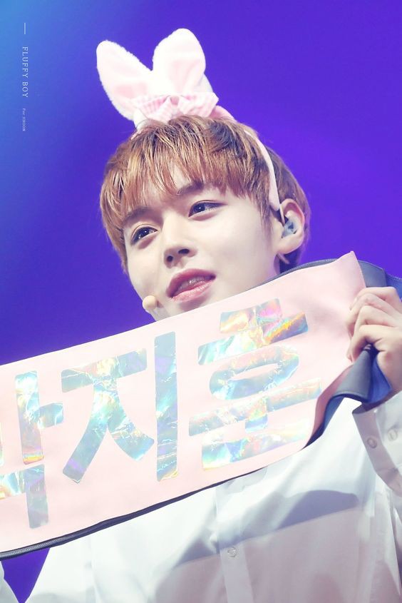 WannaOne（ワノワン）/パク・ジフン 박지훈 画像1 : ぴよぴよにっき