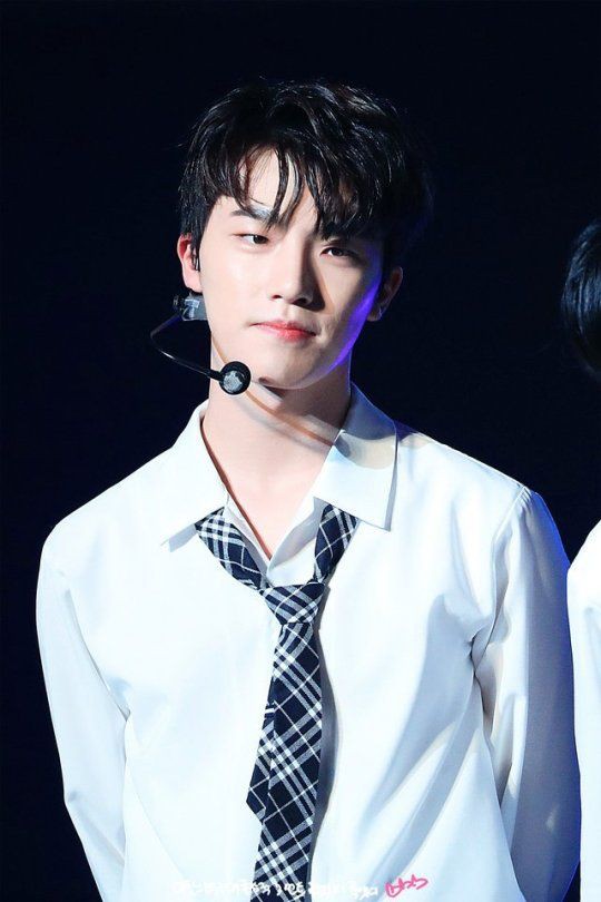 SEVENTEEN (세븐틴)/DINO(ディノ) 画像3 : ぴよぴよにっき