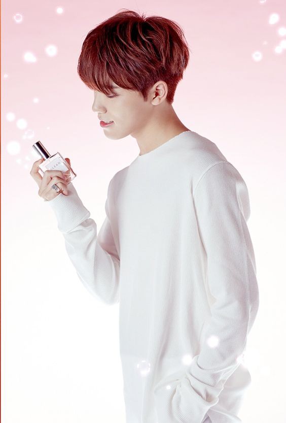 SEVENTEEN (세븐틴)/DINO(ディノ) 画像1 : ぴよぴよにっき