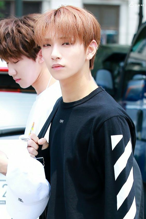 SEVENTEEN (세븐틴)/JOSHUA(ジョシュア) 画像2 : ぴよぴよにっき