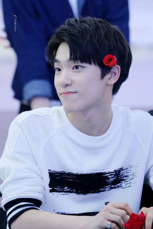 SEVENTEEN (세븐틴)/DINO(ディノ) 画像2 : ぴよぴよにっき