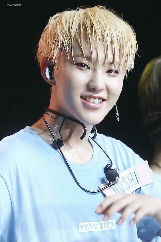 SEVENTEEN ホシ ④ ⠀ ホシジュン参戦したらフラッグホシジュンやったから しっかり