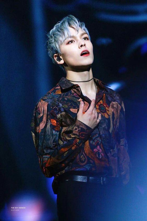 SEVENTEEN (세븐틴)/VERNON(バーノン) 画像5 : ぴよぴよにっき
