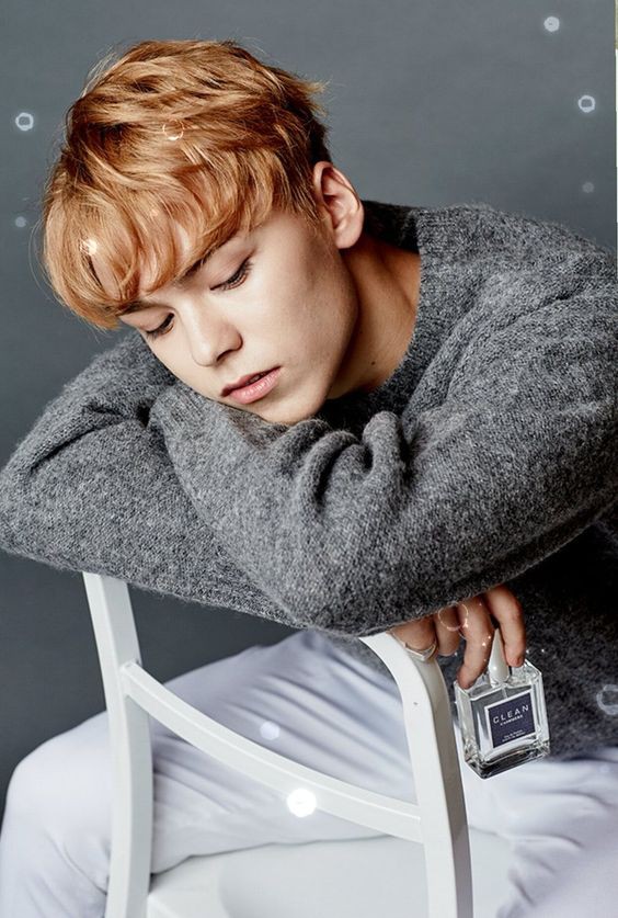 SEVENTEEN (세븐틴)/VERNON(バーノン)画像1 : ぴよぴよにっき