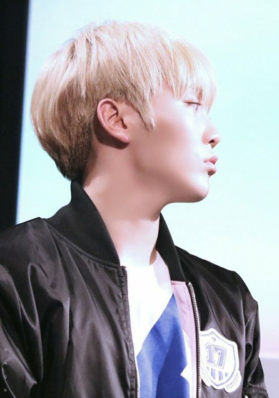 SEVENTEEN (세븐틴)/SEUNGKWAN(スングァン) profile : ぴよぴよ