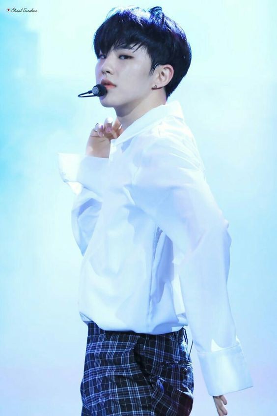 SEVENTEEN (세븐틴)/HOSHI(ホシ) 画像2 : ぴよぴよにっき