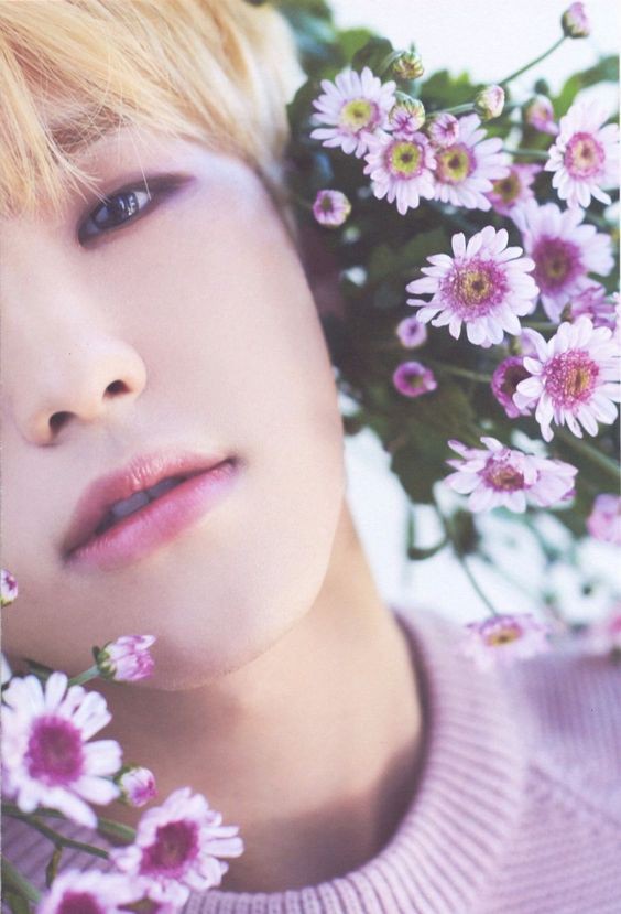SEVENTEEN (세븐틴) ホシ/HOSHI 画像8 : ぴよぴよにっき