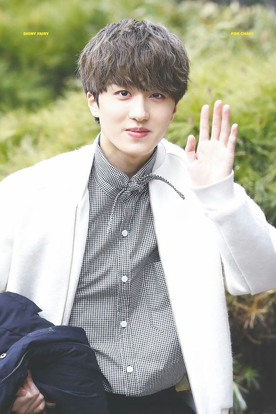 SF9 チャニ/chani 画像10 : ぴよぴよにっき
