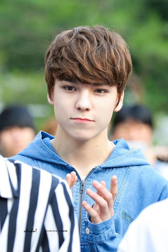SEVENTEEN (세븐틴)/VERNON(バーノン) 画像10 : ぴよぴよにっき