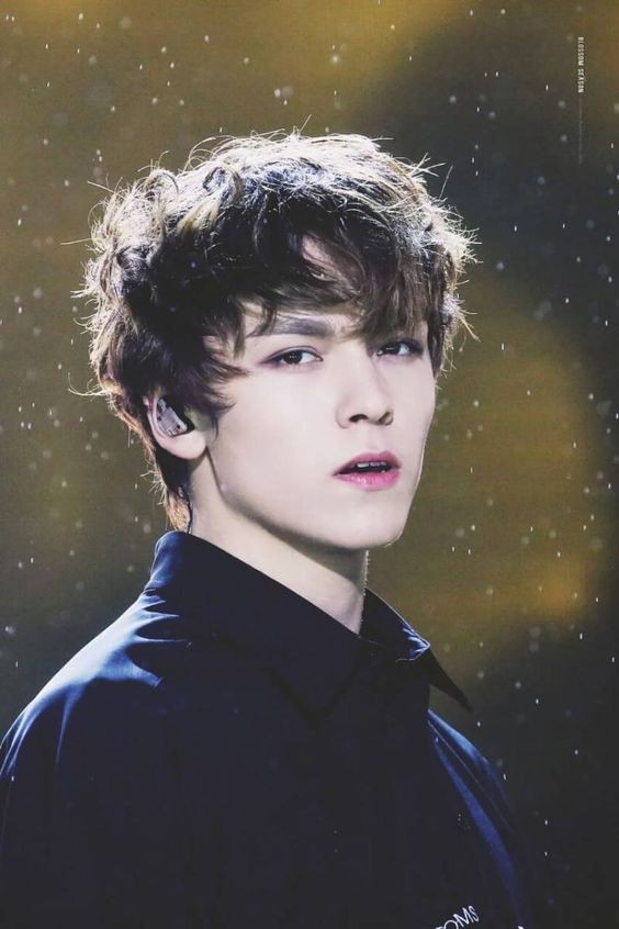 SEVENTEEN (세븐틴)/VERNON(バーノン) 画像11 : ぴよぴよにっき