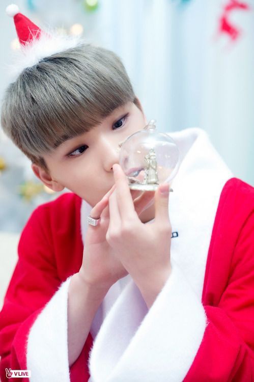 SEVENTEEN (세븐틴)/DINO(ディノ) 画像2 : ぴよぴよにっき