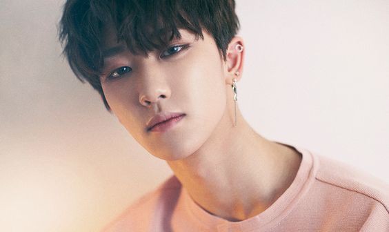 SEVENTEEN (세븐틴)/THE8(ディエイト) 画像5 : ぴよぴよにっき