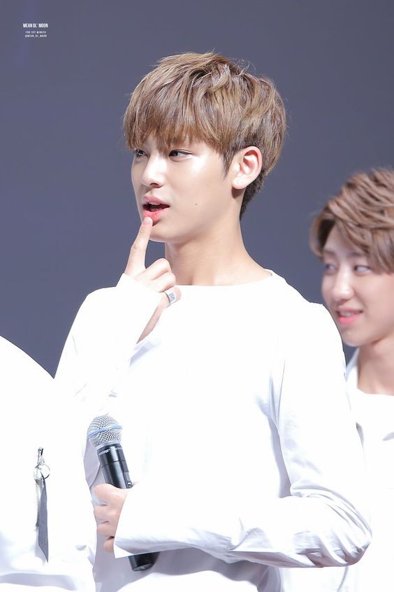 SEVENTEEN (세븐틴)ミンギュ/MINGYU 画像3 : ぴよぴよにっき