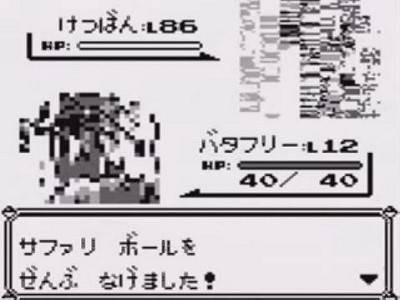 現実に1匹ポケモン持てるとしたら 女 かわいい系のポケモン 消防 伝説のポケモン 廃人 メガル 一般人 とりあえずピカチュウ ダイブン起稿