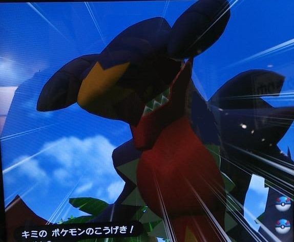トレッタイベントレポート・イレッタ＆トレッタサファリ : ポケモンろ