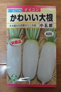 大根の種のまき方 プランターで野菜を育てよう 大根の種のまき方 プランターで野菜を育てよう