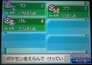 エルの冒険記 ｖｓエム 夫婦で遊ぶ 気ままなポケモン冒険記