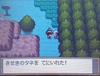 エムの冒険記 ワニノコ しんか デジモン風 夫婦で遊ぶ 気ままなポケモン冒険記