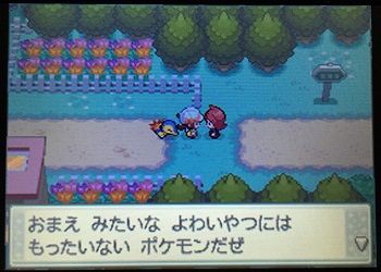 エルの冒険記 不審者と仲間 夫婦で遊ぶ 気ままなポケモン冒険記
