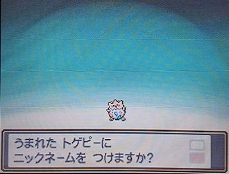 エムの冒険記 ウツギ博士 エスパータイプ 夫婦で遊ぶ 気ままなポケモン冒険記