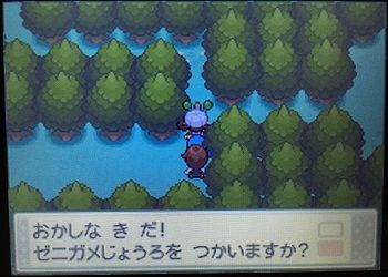 エルの冒険記 うごく木の先にはエンジュシティ 夫婦で遊ぶ 気ままなポケモン冒険記