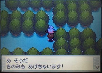 エルの冒険記 うごく木の先にはエンジュシティ 夫婦で遊ぶ 気ままなポケモン冒険記