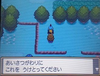 エムの冒険記 曜日兄弟 木曜日と火曜日 夫婦で遊ぶ 気ままなポケモン冒険記