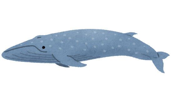 地球史上最大生物シロナガスクジラ 30m150t プランクトンしか食べませんｗ これ ぶる速 Vip
