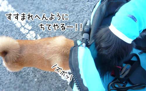 めばちこ ぽち Powered By ライブドアブログ