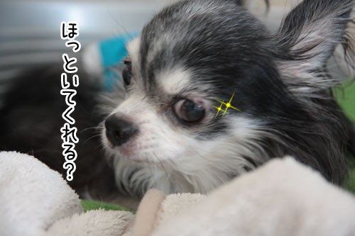 めばちこ ぽち Powered By ライブドアブログ