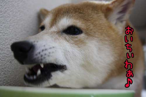 りんご食べます ぽち Powered By ライブドアブログ