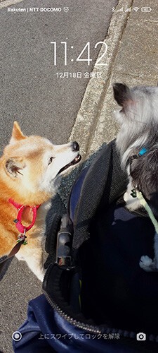 らしい待ち受け ぽち Powered By ライブドアブログ