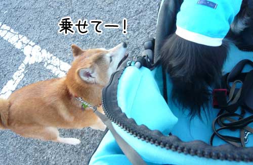 めばちこ ぽち Powered By ライブドアブログ