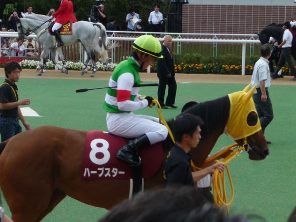 ☆2014年 第50回 札幌記念 観戦してきました！ : ジナパパ一家の何て