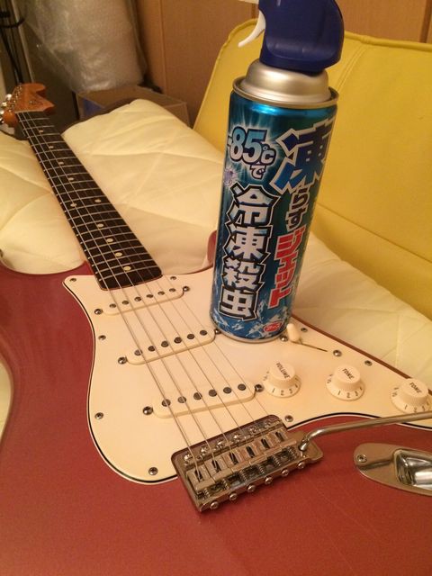 ☆漢なのか、それともただの怖いもの知らずなのか