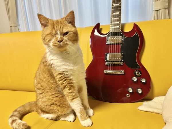 ☆Photogenic SGコピーのブリッジ交換（ABR-1へ） : ジナパパ一家の何