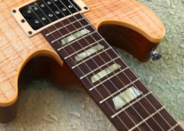 ☆Gibson Les Paul DC Pro : ジナパパ一家の何てことない日常