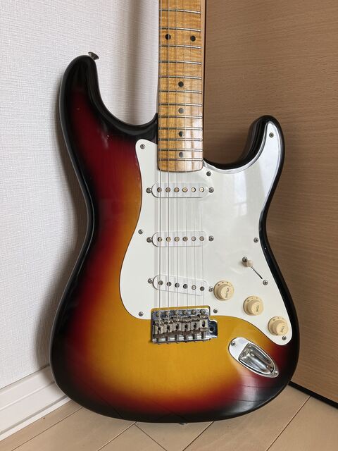 ☆Tokai Goldstar Soud TST-60（アビゲイル・イバラのピックアップ付き） : ジナパパ一家の何てことない日常