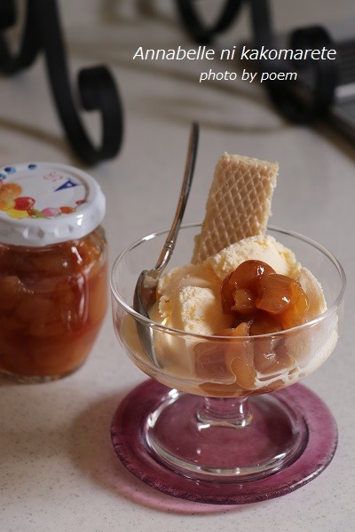 新品・未使用】MALT ICE プレミアムアイスモールド丸型保存バック2個付