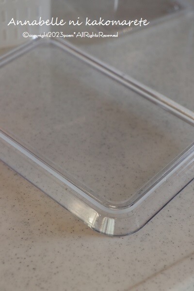 岡野達也オーバル木皿(大)チェリー