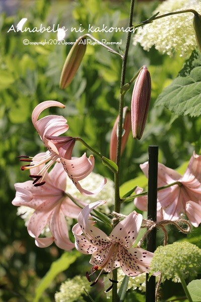 激安通販新作 オレンジ色の花束を持った 小さな 白うさぎ ピンク輝石の目 可愛い ブローチ