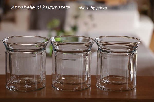 イケアのダブルウォールグラスで人気の植物を素敵に飾る！ : アナベル