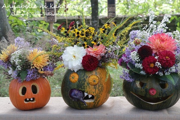 新潟精機 鋼ピンゲージ 26.46mm 242646