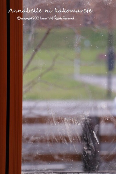 大掃除 電動ブラシのおかげで力要らず 掃除が楽になる Pr アナベルにかこまれて Powered By ライブドアブログ